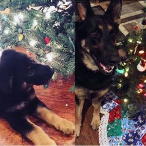 Meet your Posher, Marci